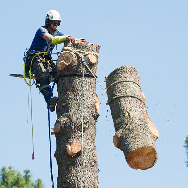 Notch Kraken Rigging Line – Pacific Arborist Supplies